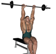 Triceps Extension - Seated Barbell Narrow